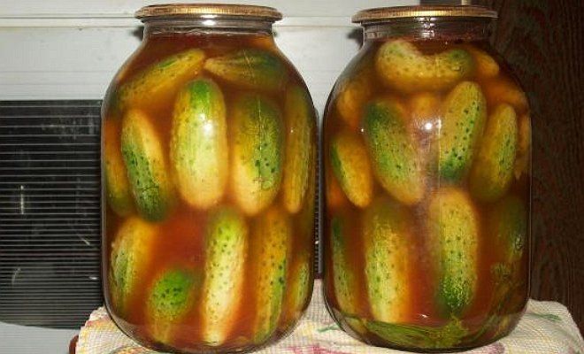 Огурцы в томатном соку — 6 рецептов на зиму