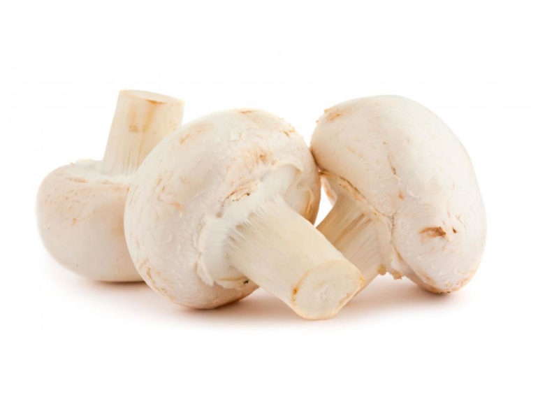 Гречка с грибами: 7 самых вкусных и аппетитных вариантов блюда
