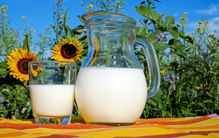 9 рецептов приготовления брынзы из молока в домашних условиях