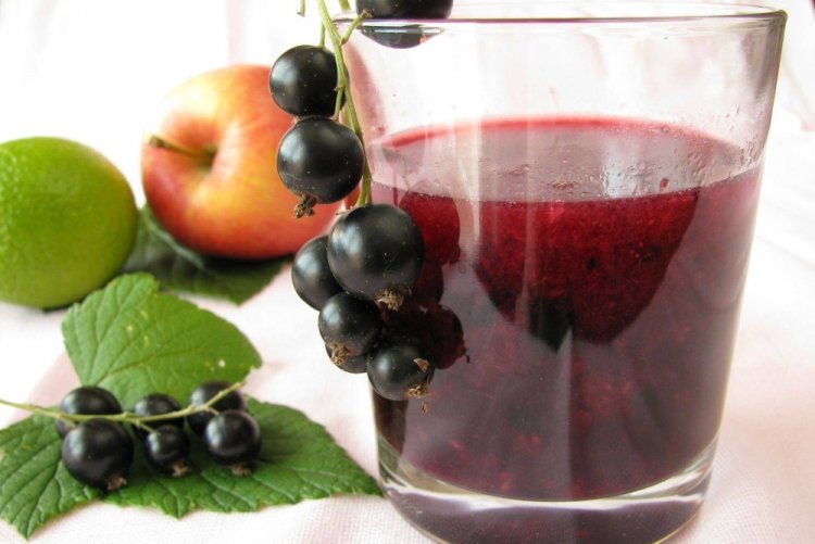 10 лучших рецептов сока из черной смородины на зиму
