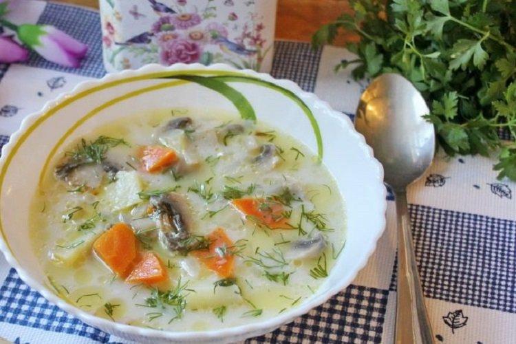 15 рецептов вкусных молочных супов с вермишелью