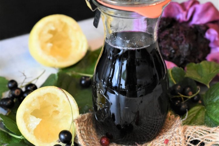 10 лучших рецептов сока из черной смородины на зиму