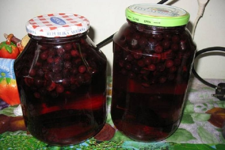 15 отличных рецептов настойки из черноплодной рябины