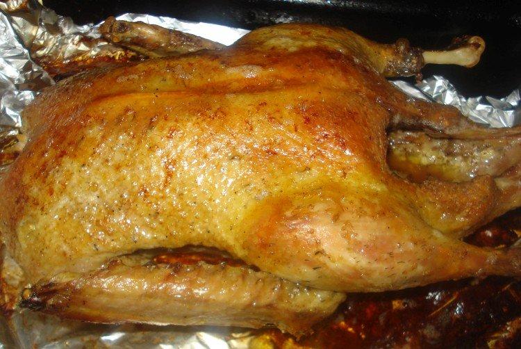 15 рецептов утки в духовке для настоящих гурманов