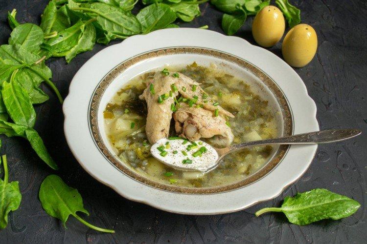 12 превосходных супов с кислицей, которые можно готовить весь сезон