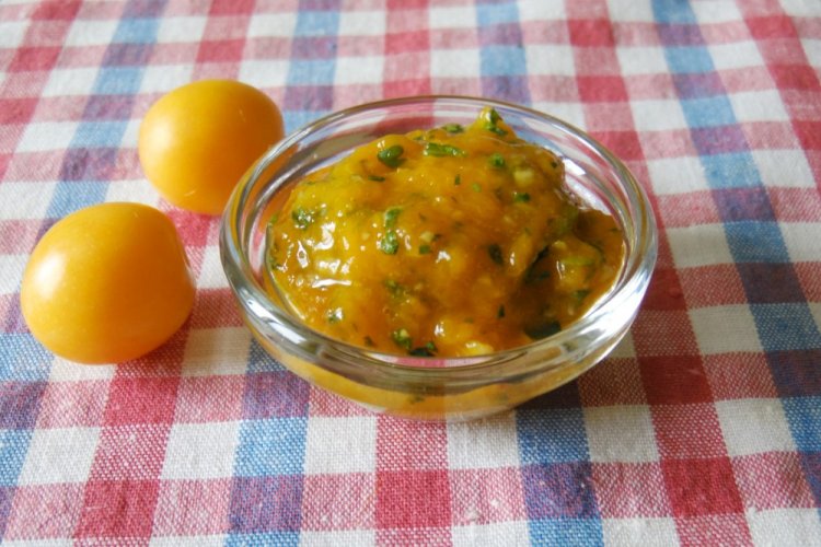 10 соусов из желтой сливы, которые готовятся проще простого