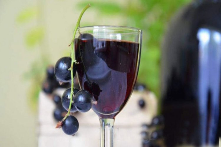 20 лучших рецептов вина из черной смородины