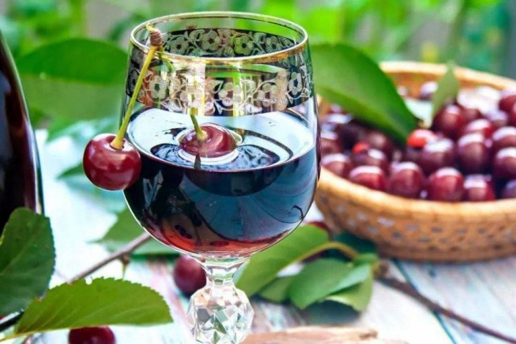 20 простых рецептов вина из вишни