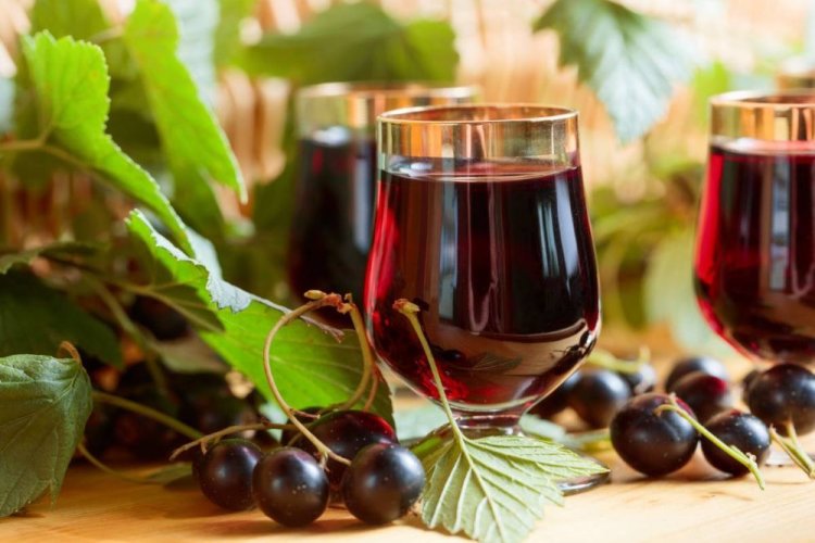 20 лучших рецептов вина из красной смородины