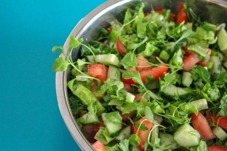 15 салатов с молодой зеленью, которые можно приготовить на скорую руку