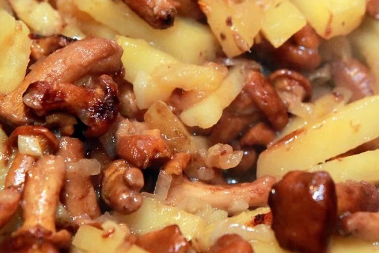 12 отличных рецептов обжаренной картошки с опятами