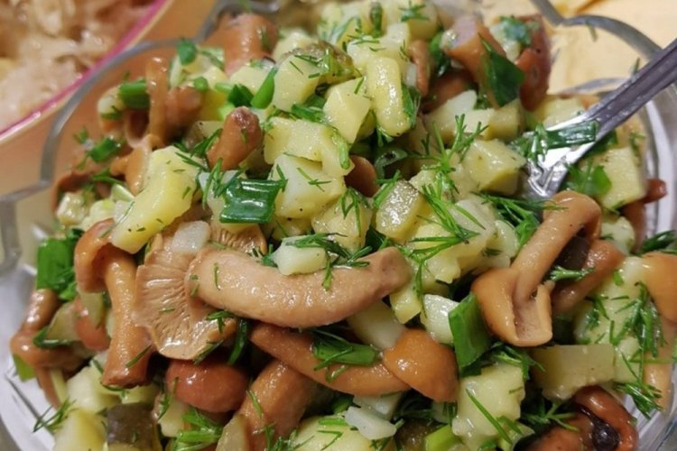 15 салатов с квашенными грибами, которые понравятся всей семье