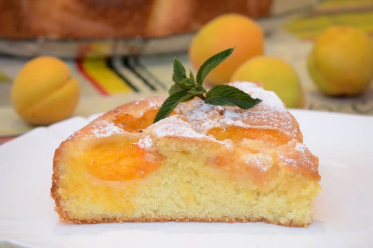 12 быстрых рецептов шарлотки с абрикосами