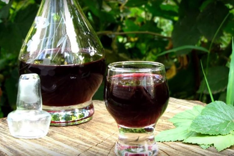 20 лучших рецептов вина из черной смородины
