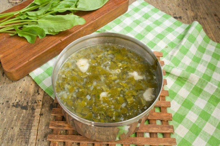 12 простых и вкусных щавелевых супов с желтком