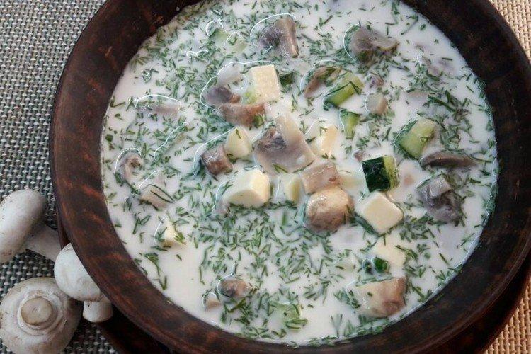 15 превосходных рецептов холодного супа на кефире