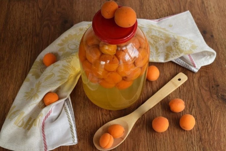 20 легких рецептов компота из абрикосов на зиму