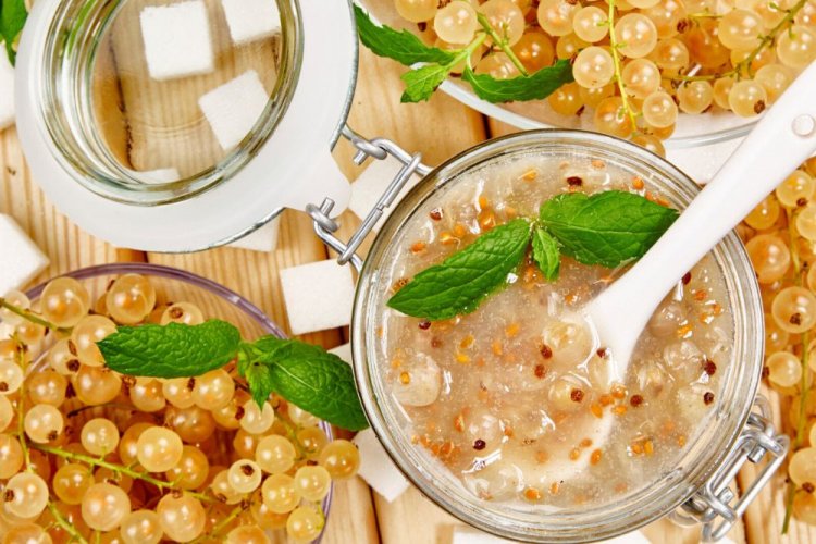 15 вкуснейших рецептов желе из белой смородины