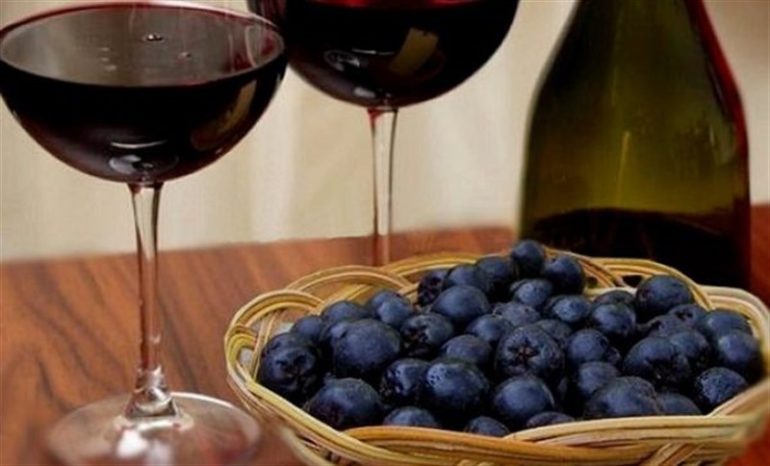 Вино из черноплодной рябины: самые вкусные рецепты и хитрости виноделов