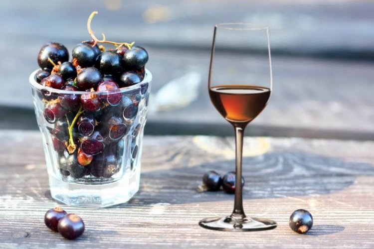 20 отличных рецептов вина из черной смородины
